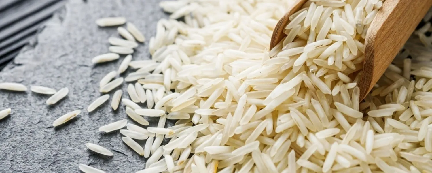 Sugandha Raw Rice